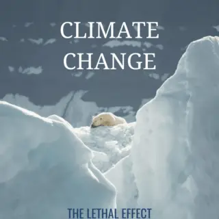 Climate Change Animals - Softback Travel