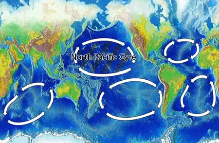 north pacific gyre