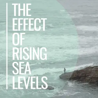 the effect of rising sea levels