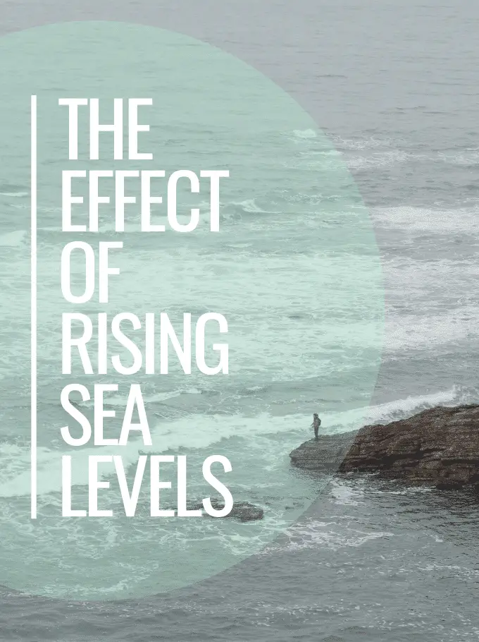 the effect of rising sea levels