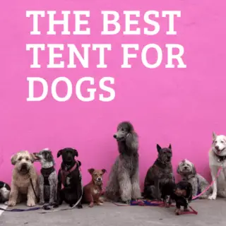 best tent for dogs
