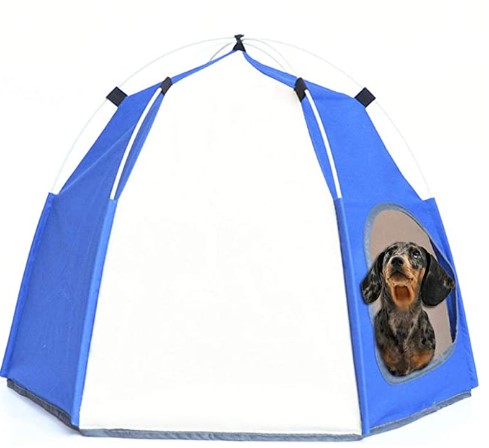 tent for small dogs