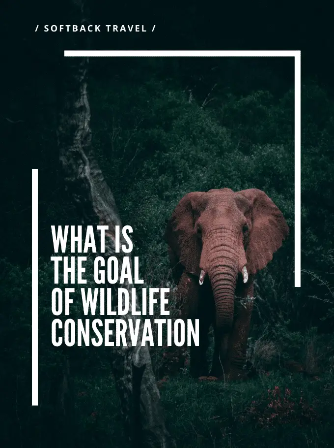 What is the Goal of Wildlife Conservation (Protect & Save Wildlife)