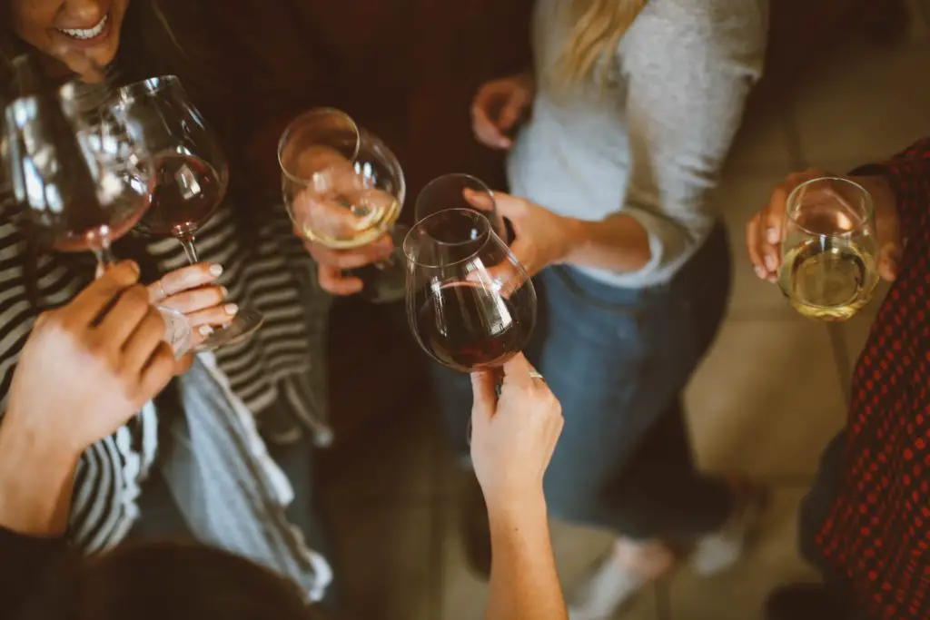 eco-friendly experience - wine tasting