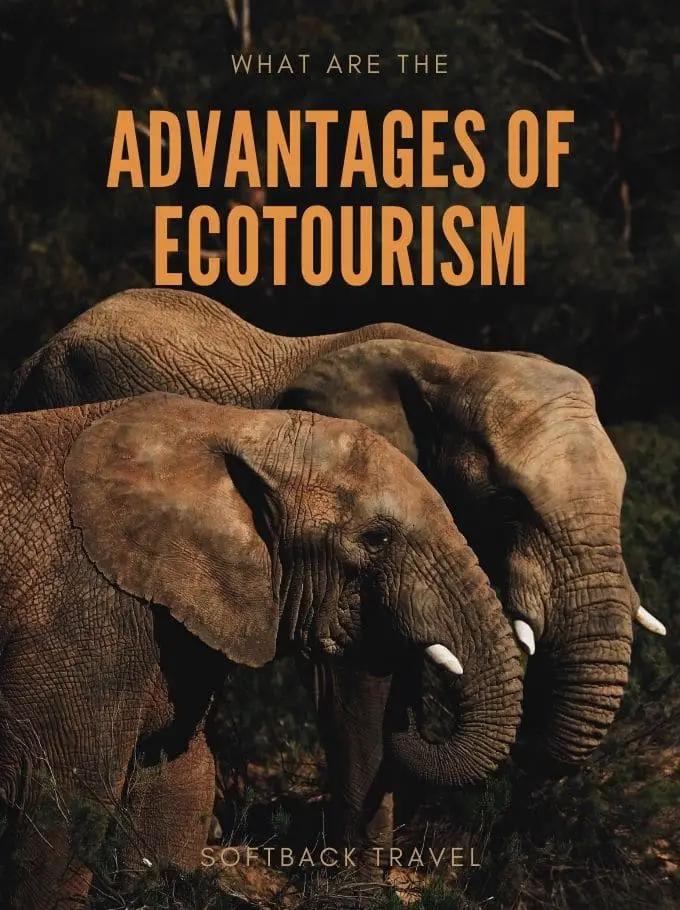 benefits of ecotourism essay