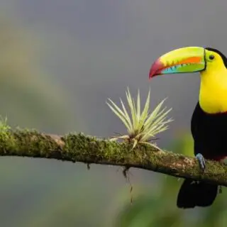 Best Time to visit Costa Rica