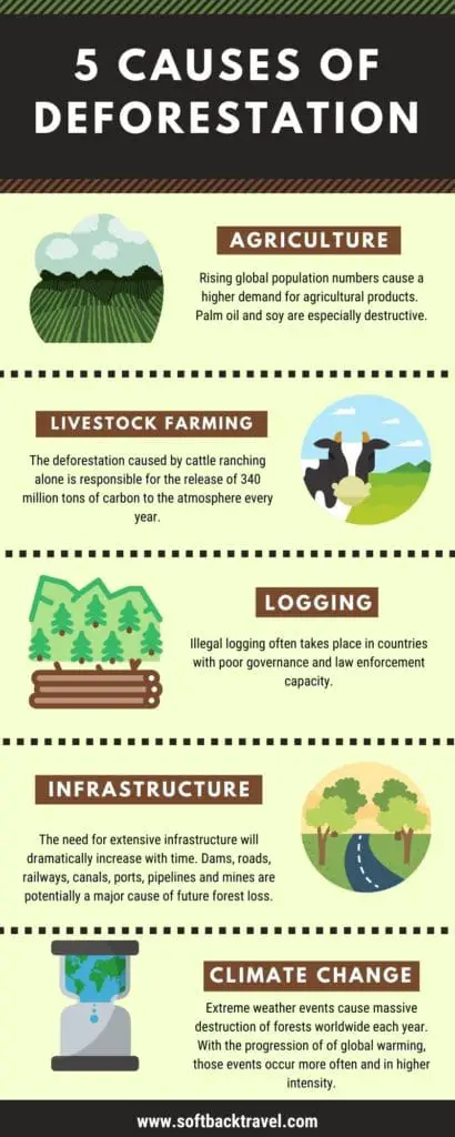 Causes of Deforestation Infographic - Softback Travel