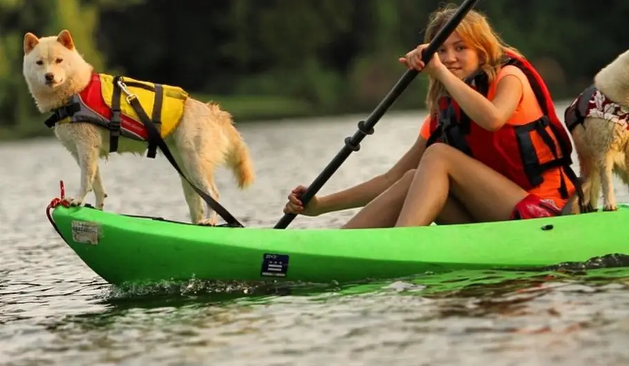 dog kayak