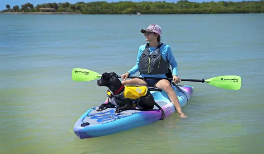 kayak dog seat