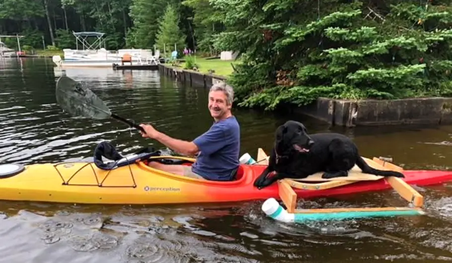 kayak platform for dogs